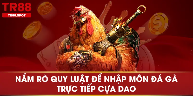 Nắm rõ quy luật để nhập môn đá gà trực tiếp cựa dao